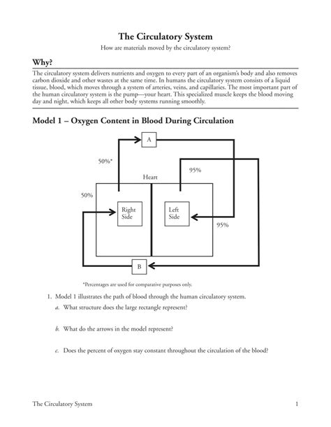 The Circulatory System Pogil Answer Key