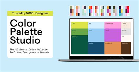 the color studio