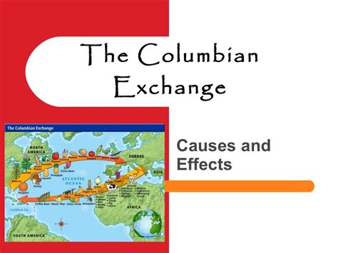 The Columbian Exchange Lesson Plan Cause And Effect Columbian Exchange Worksheet Answers - Columbian Exchange Worksheet Answers