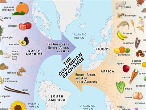 The Columbian Exchange Lesson Plan Columbian Exchange Worksheet Answers - Columbian Exchange Worksheet Answers