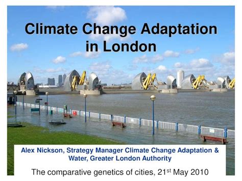 The Comparative Genetics Of Cities Towards An Integrated