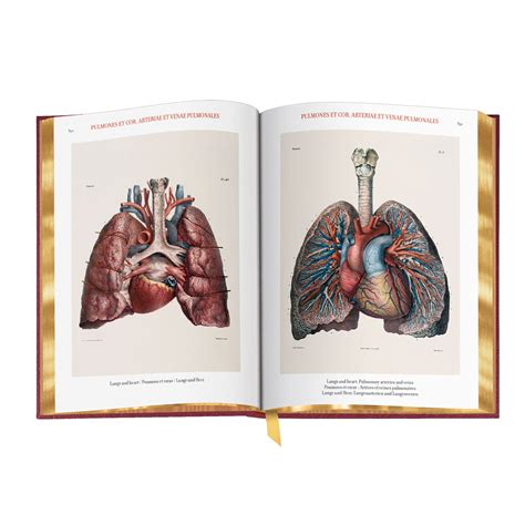 the complete atlas of human anatomy and surgery