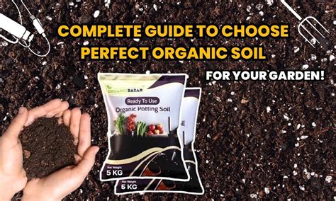 The Complete Guide To Organic Livestock Farming Everything You Need To Know About Natural Farming On A Small Scale Terri Paajanen