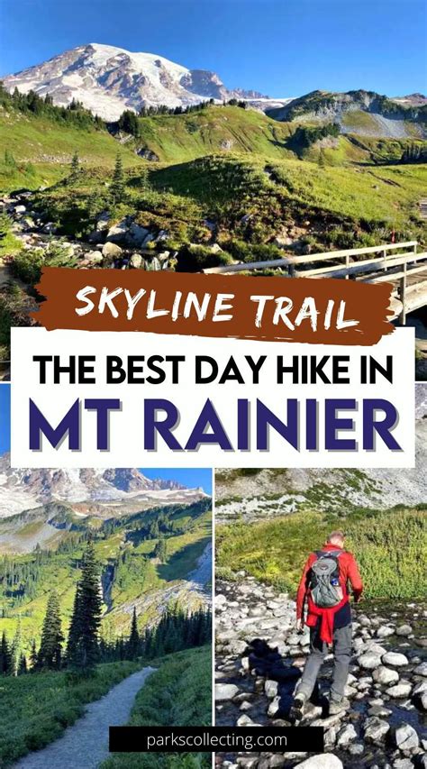 The Complete Guide To Trail Building And Maintena