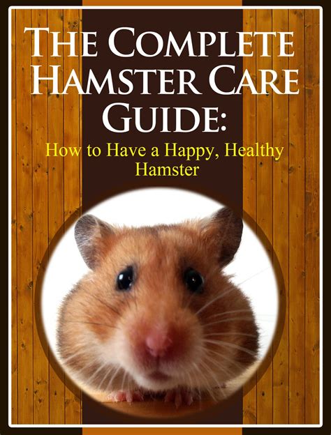 The Complete Hamster Care Guide How To Have A Happy Healthy Hamster