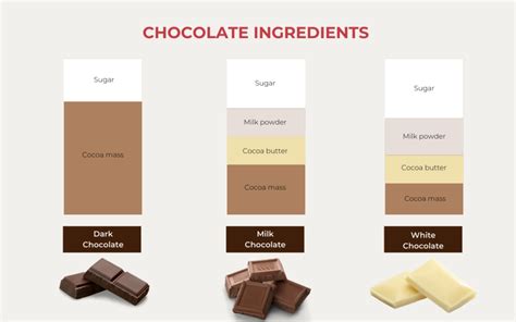 the comprehensive guide to chocolate molds objects