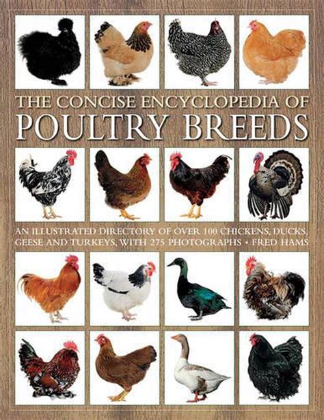 The Concise Encyclopedia Of Poultry Breeds An Illustrated Directory Of Over 100 Chickens Ducks Geese And Turkeys With 275 Photographs