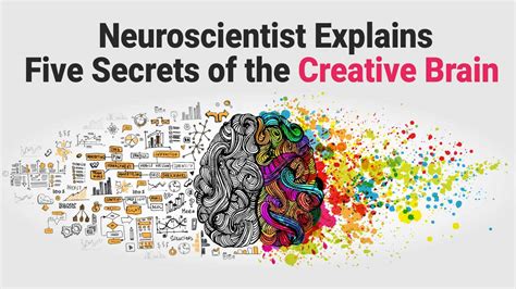 The Creative Brain Science Of Genius Nancy C Andreasen