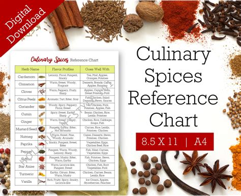 The Culinary Reference Guide A Quick Resource For Chefs And Apprentices Of Over 700 Recipes Formulas Practical Cooking Methods Applications And Terminology