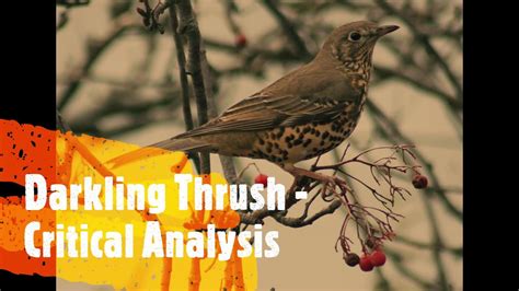 The Darkling Thrush