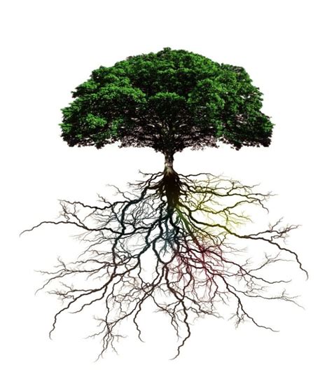 The Deepest Roots