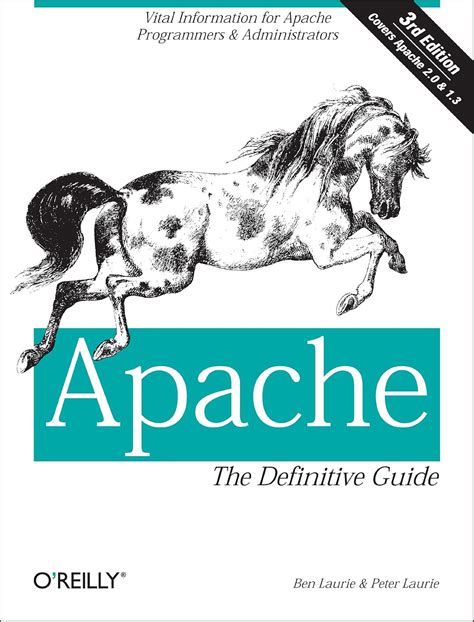 The Definitive Guide To Apache Mod Rewrite Definitive Guides Hardcover