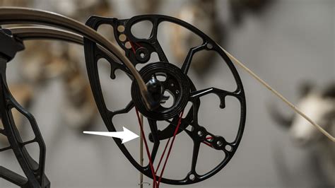 The Definitive Guide To Bow Making English Editio