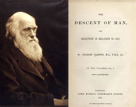 The Descent Of Man