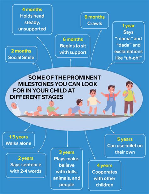 The Development Of Children