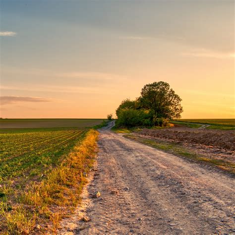The Dirt Road