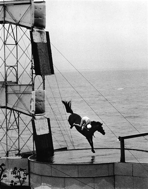 The Diving Horse