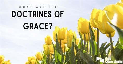 The Doctrines Of Grace In An Unexpected Place Cal