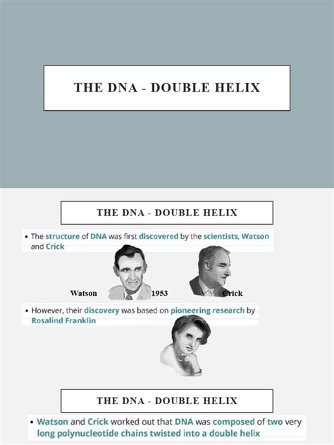 The Double Helix Pdf