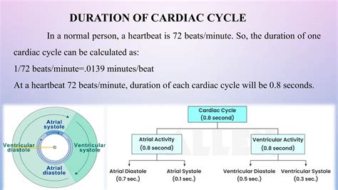 The Duration Of One Cycle Known As