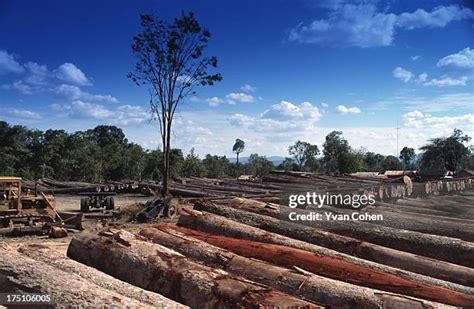 the effects of deforestation in cambodia