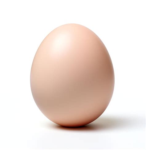The Egg