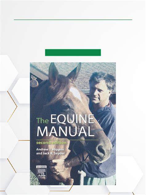 the equine error english edition