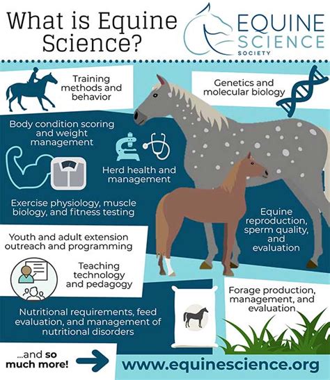 The Equine Science Society Gt Resources Gt Graduate Horse Science - Horse Science