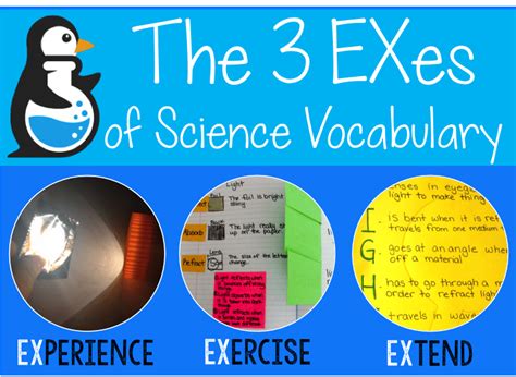 The Exes Of Science Vocabulary The Science Penguin Elementary Science Vocabulary Words - Elementary Science Vocabulary Words