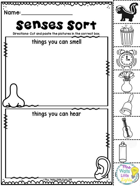 The Five Senses Worksheets Awesome Senses Worksheet Simple The Senses Worksheet - The Senses Worksheet