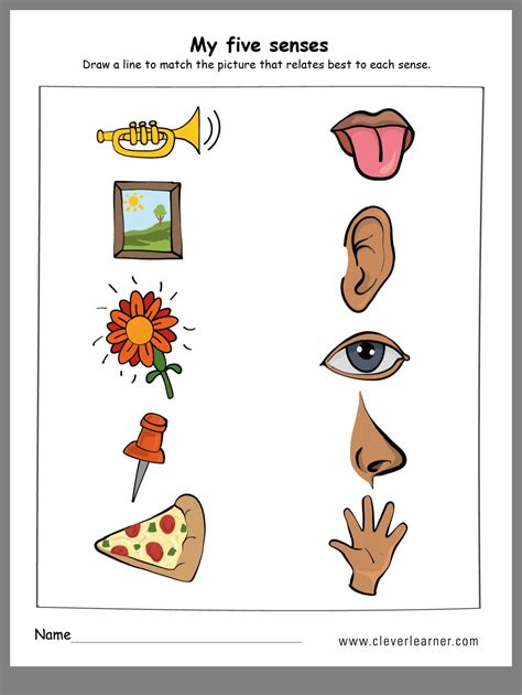The Five Senses Worksheets For Preschools Five Senses Science - Five Senses Science