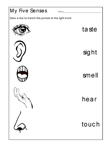 The Five Senses Worksheets Printable Ela Activities Sensory Words Worksheet - Sensory Words Worksheet
