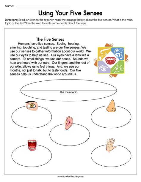 The Five Senses Worksheets Using 5 Senses In Writing Worksheet - Using 5 Senses In Writing Worksheet