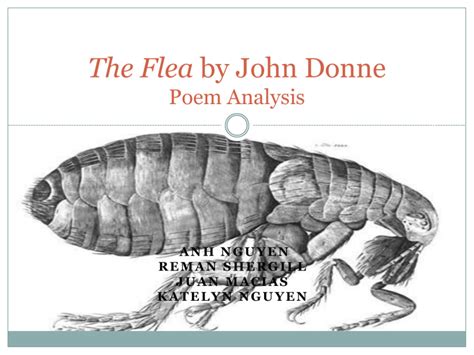 The Flea Poem Analysis