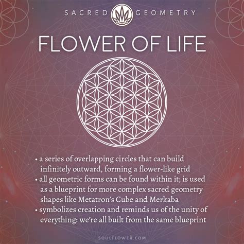 The Flower Of Life Meanings Symbolism Amp How Flowers That Mean Life - Flowers That Mean Life