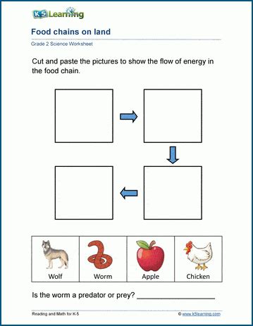 The Food Chains Worksheets K5 Learning Food Chain 3rd Grade Worksheet - Food Chain 3rd Grade Worksheet
