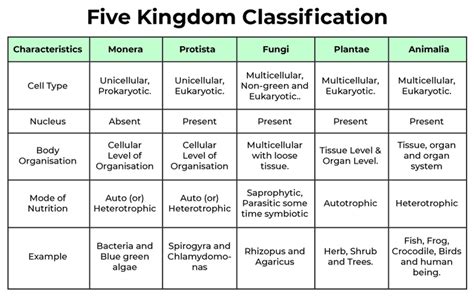 The Four Basic Classifications Of Voices