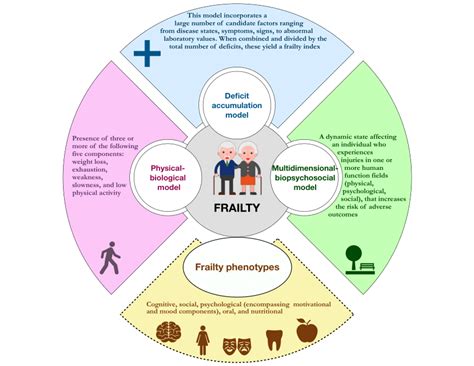 The Frailty Model Statistics For Biology And Health