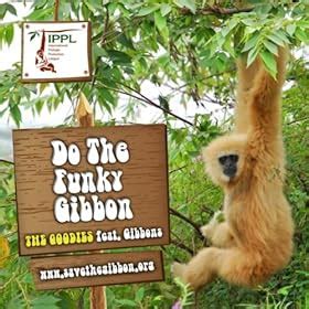 the funky gibbon ringtone s