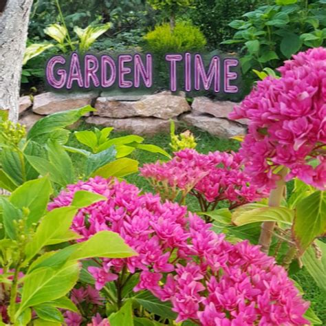 The Garden Of Time