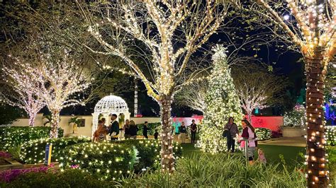 the gardens of light