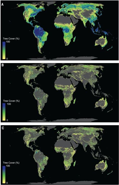 The Global Tree Restoration Potential Science Tree Science - Tree Science