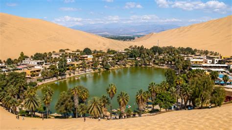 The Great Oasis