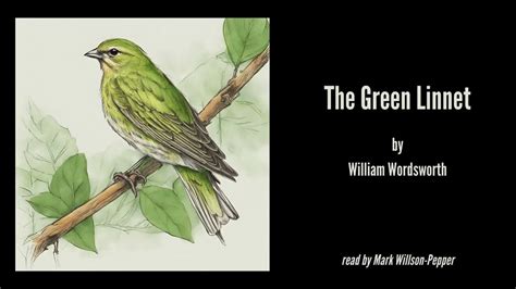 The Green Linnet