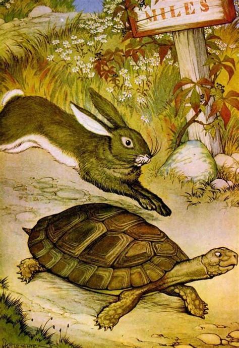 The Hare And The Tortoise La Liebre Y The Hare And The Tortoise Worksheet - The Hare And The Tortoise Worksheet