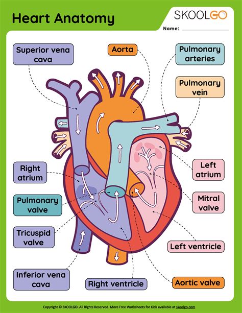 The Heart Of Learning And Teaching