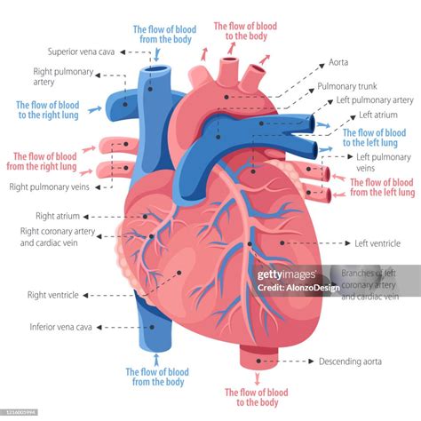 The Heart Of Understanding