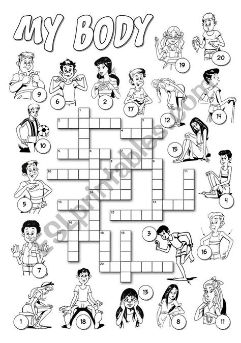 The Human Body Crossword Puzzle Human Body Systems Crossword Puzzle Answer - Human Body Systems Crossword Puzzle Answer