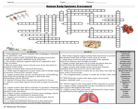 The Human Body Systems Crossword Puzzle Human Body Systems Crossword Puzzle Answer - Human Body Systems Crossword Puzzle Answer