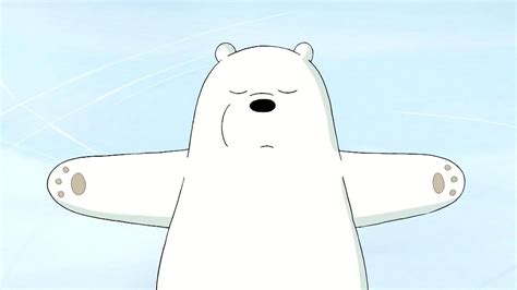 The Ice Bear